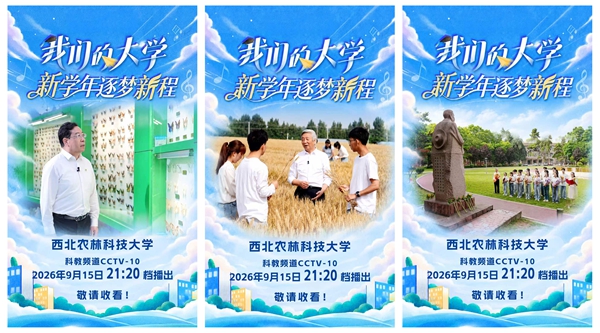 海报4_副本.jpg