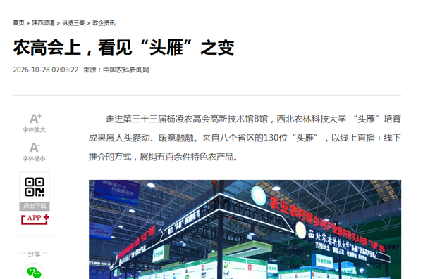 d601d5159319fe0ffb33da0b483b24ce_副本.png