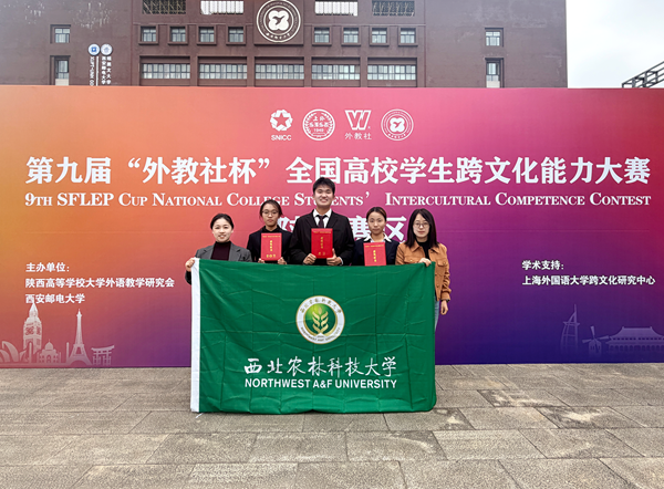 图片1_副本.png