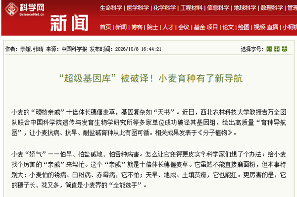 6de399bd1b0bac1f228e33499d970a2e_副本.png