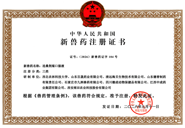 图片1_副本.png
