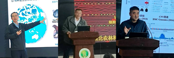 报告人_副本.png