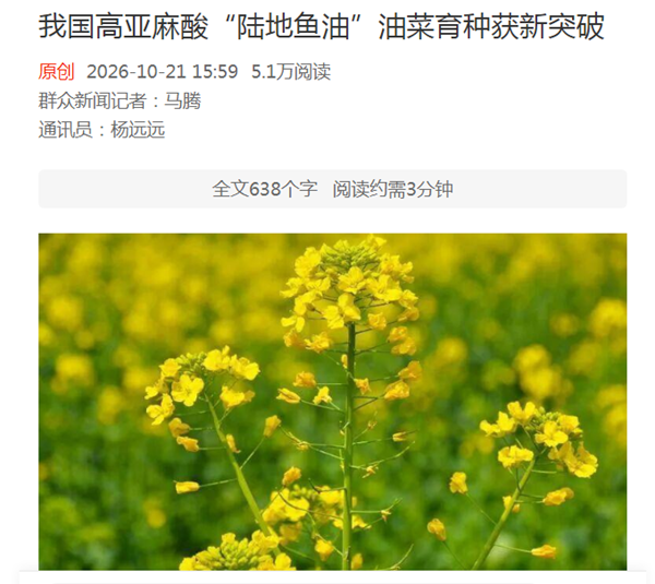04a35e16086e891a89900360f91df7cc_副本.png