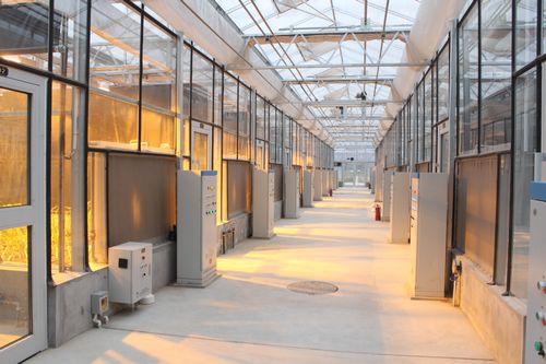 校领导检查科研温室运行情况