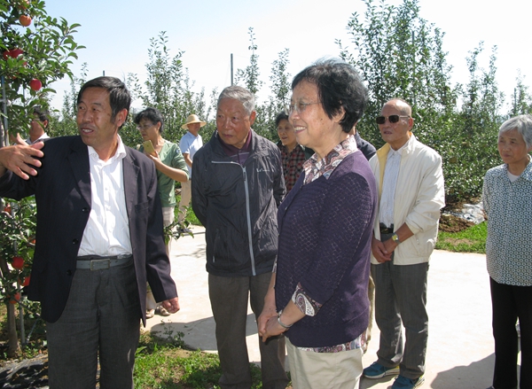 陕西省委原副书记范肖梅到千阳苹果试验示范站调研