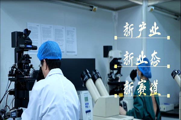 创新草食家畜育种技术，引领畜牧产业新飞跃